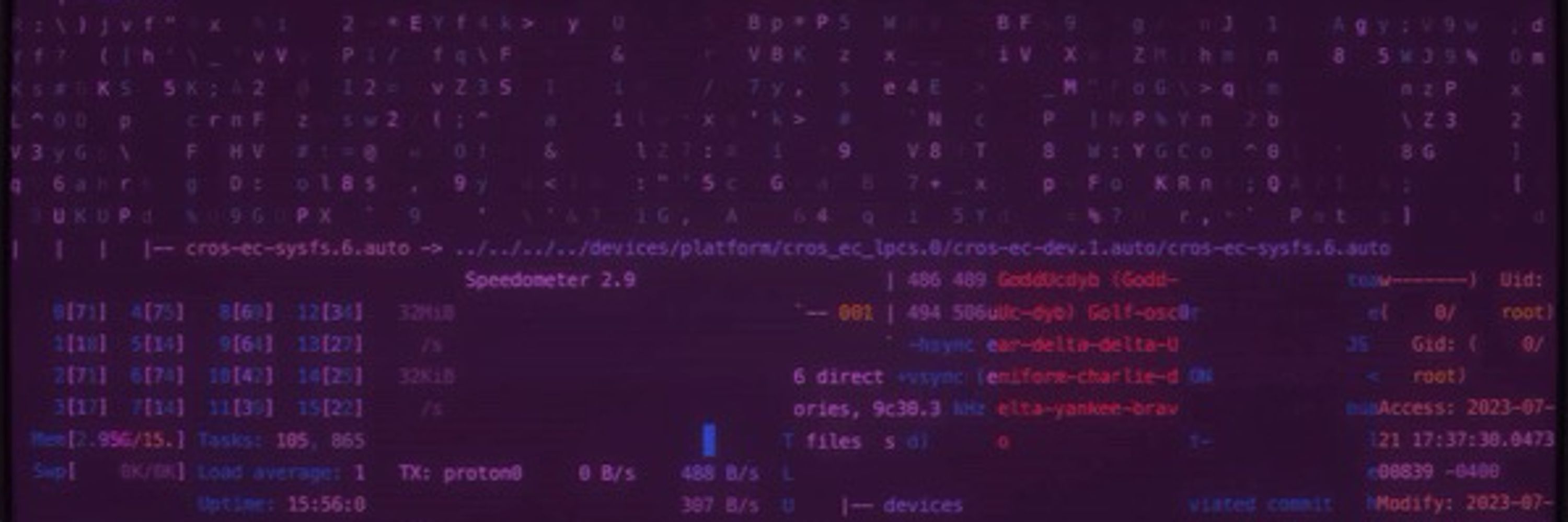 ssh://thepinkhacker.com