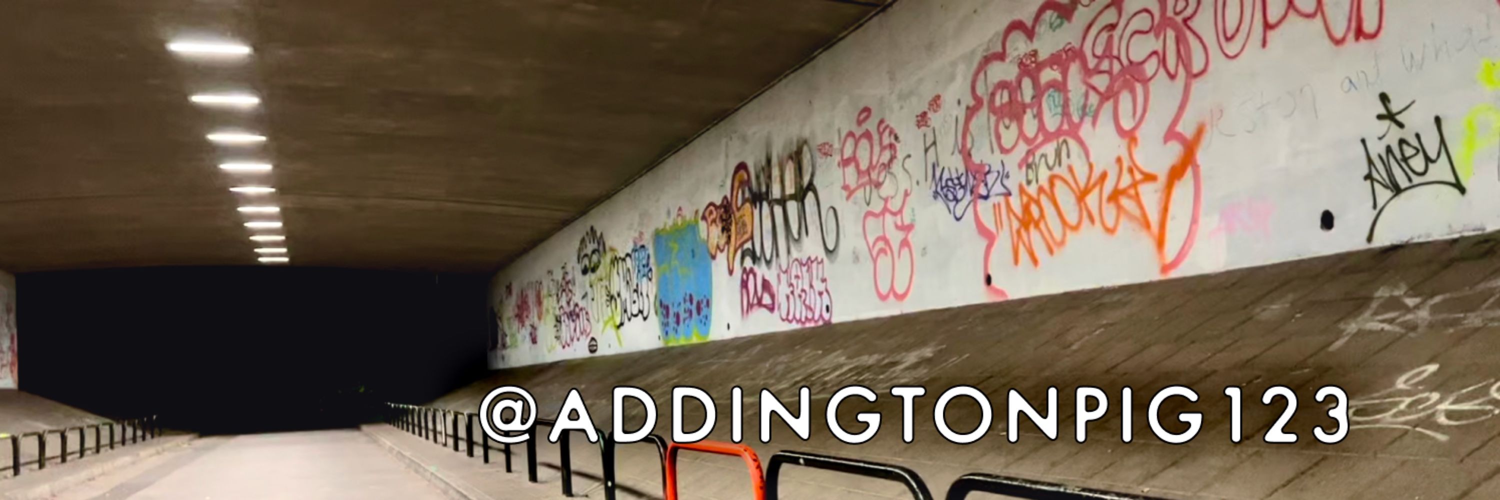 @addingtonpig123