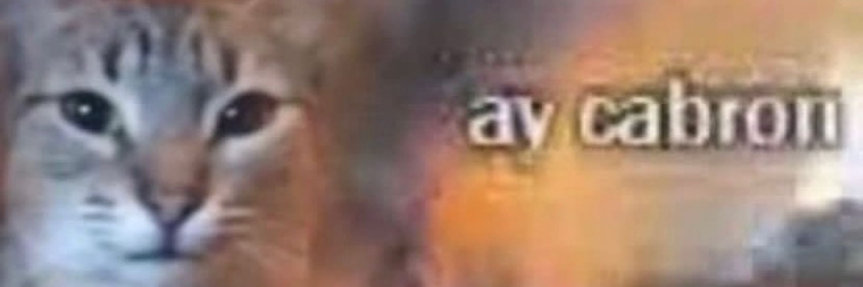 vik!!!!!!!!!!!!!!!!!!!!!!!