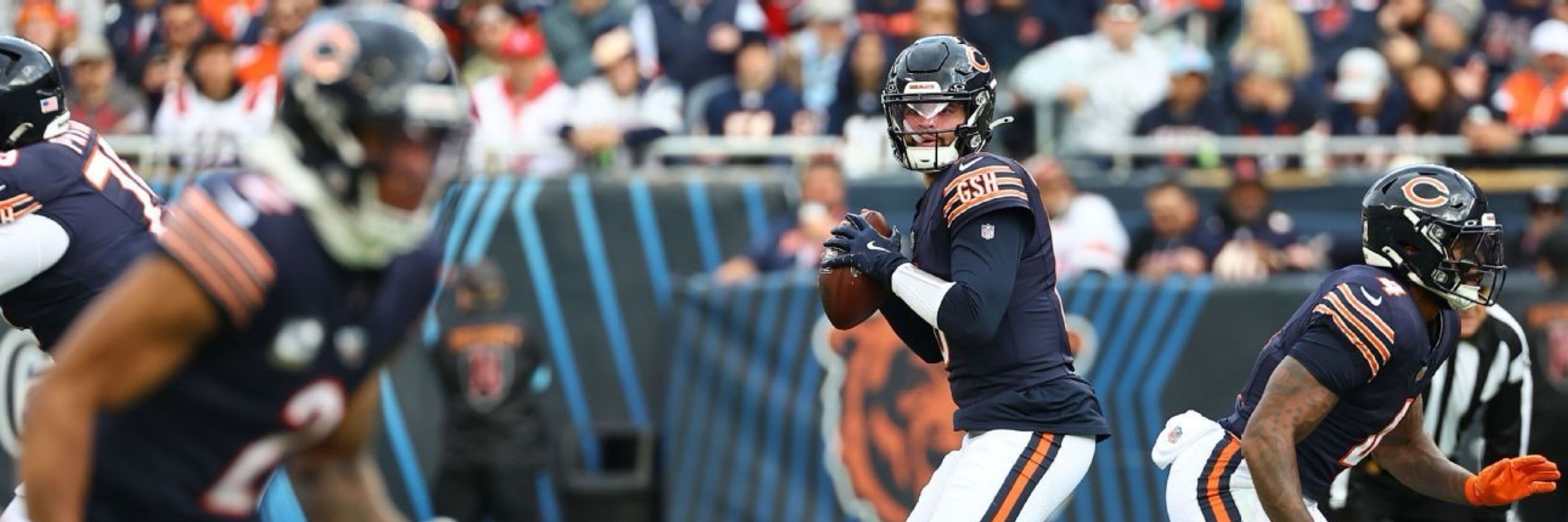 Bears Barade