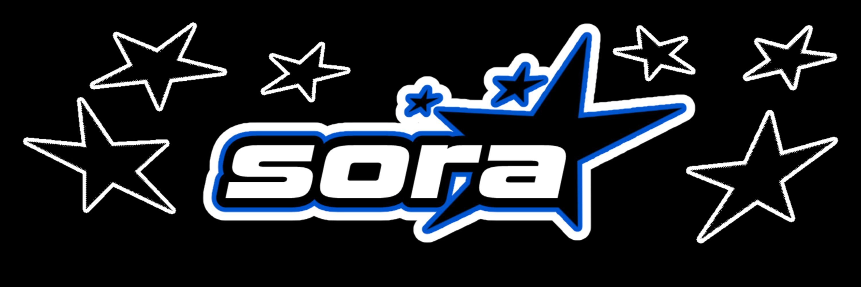 Sora 💿