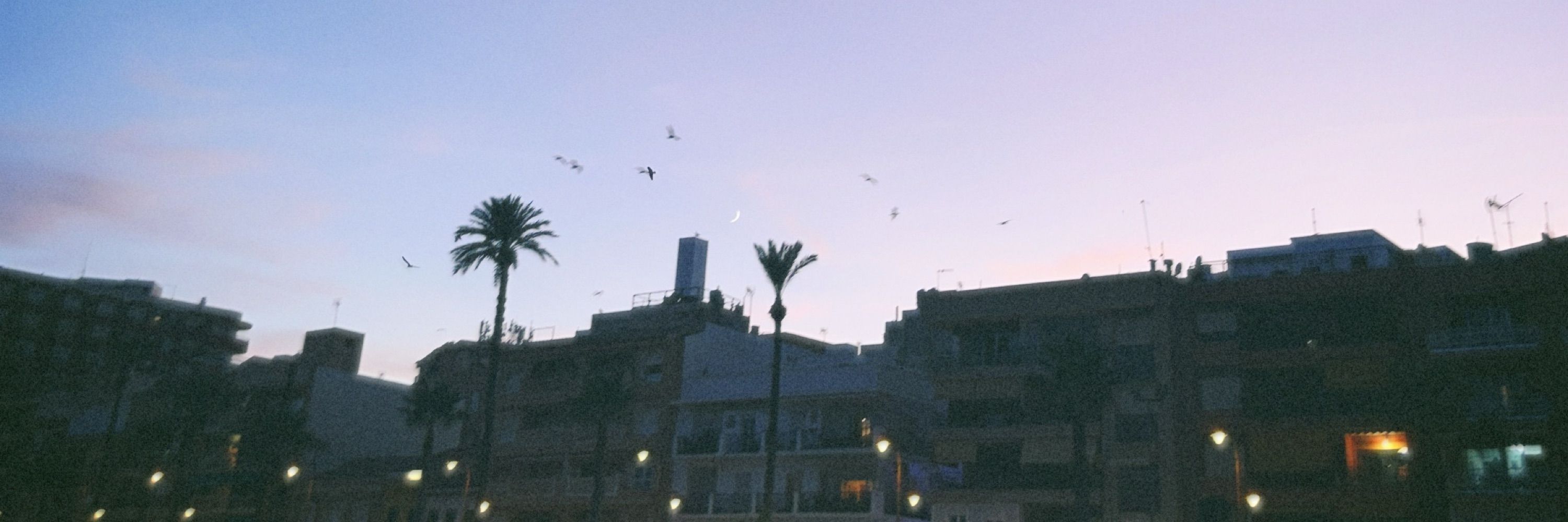 Joseant ☾