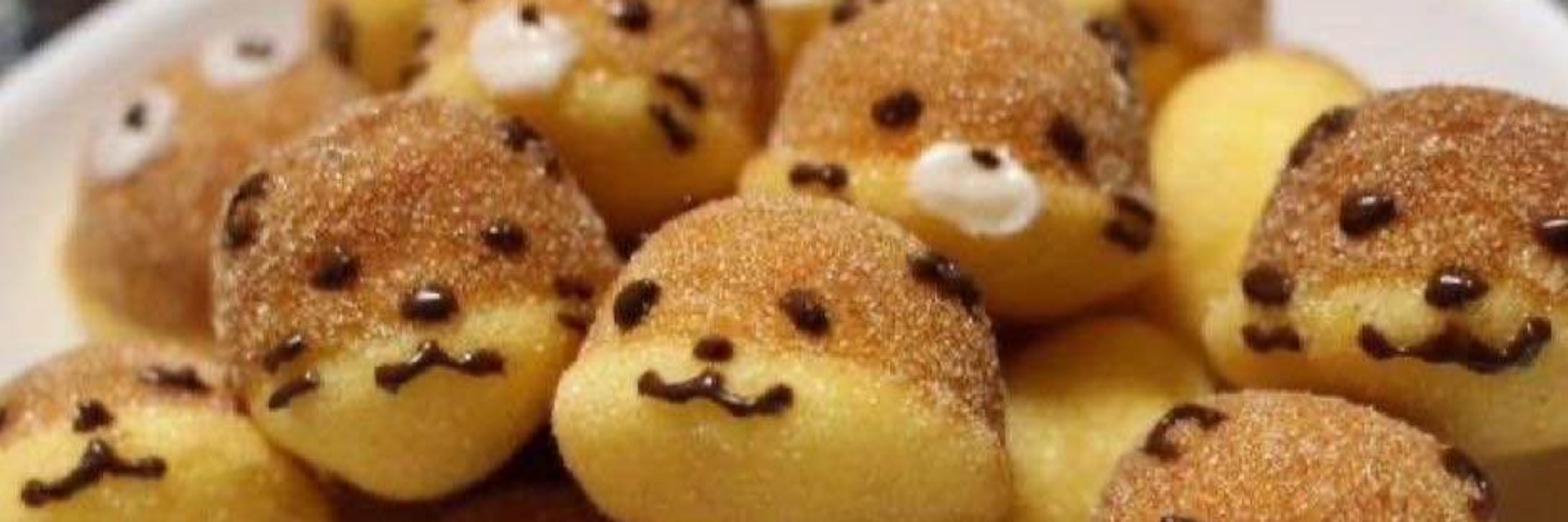 Molly Melotter