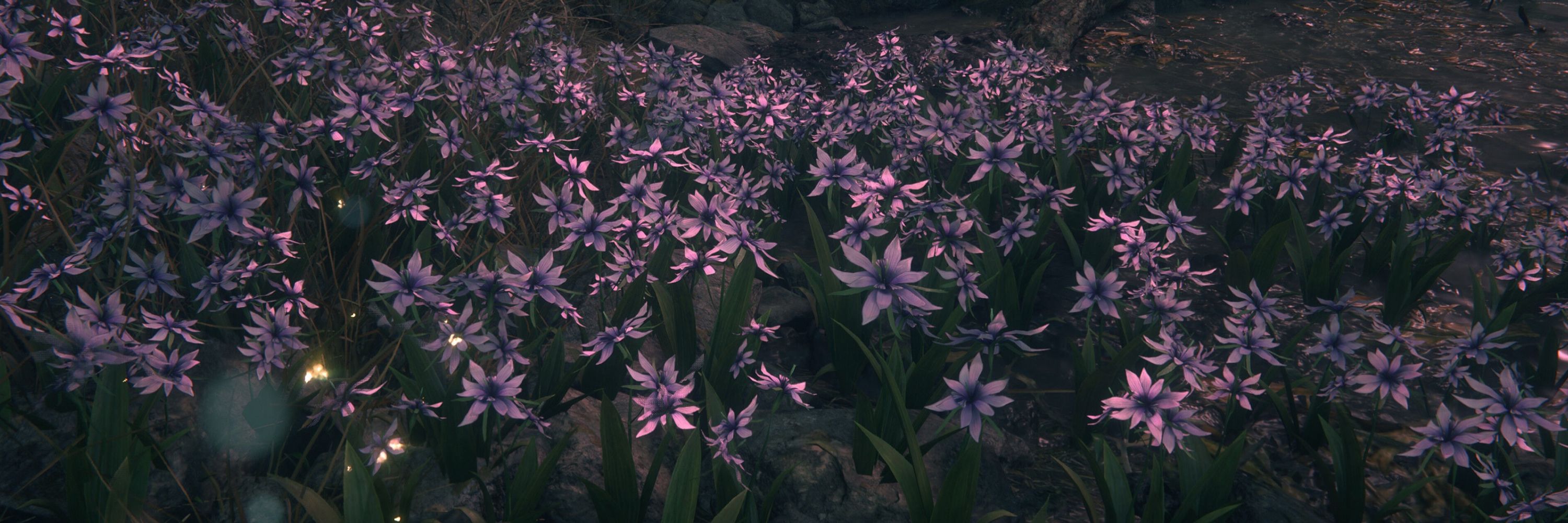ೀ ‍ 𝐎͟𝐑͟𝐀͟𝐂͟𝐋͟𝐄 ‍ ༉‧₊˚