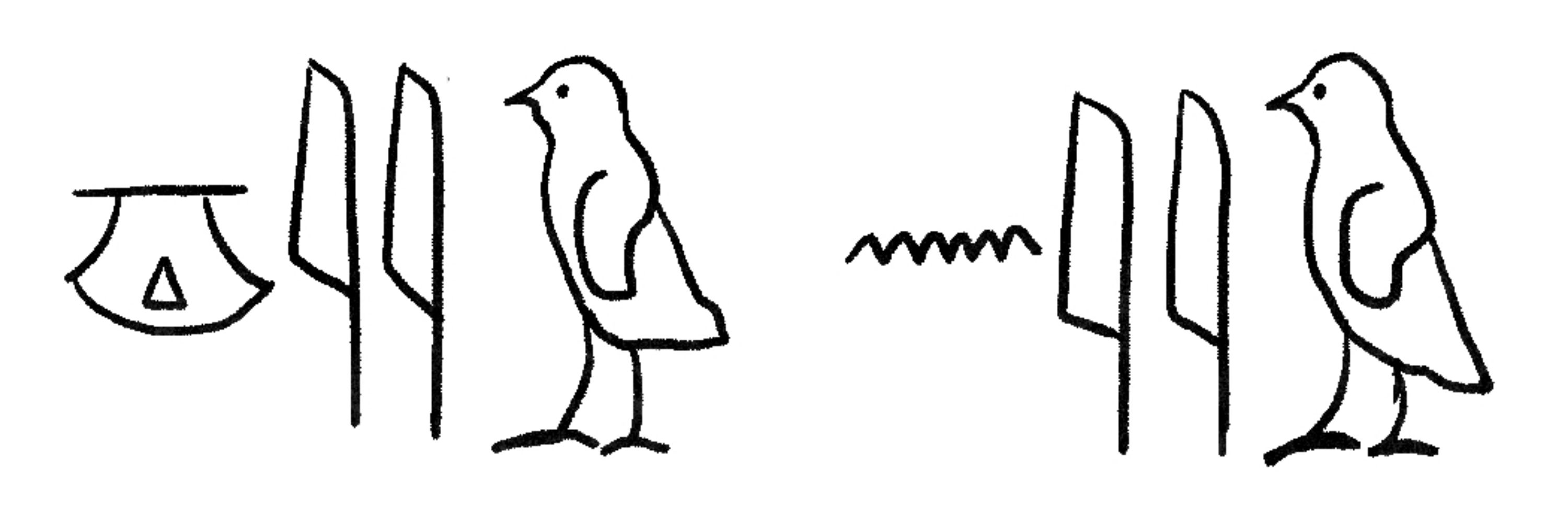 ぎゅにゅ