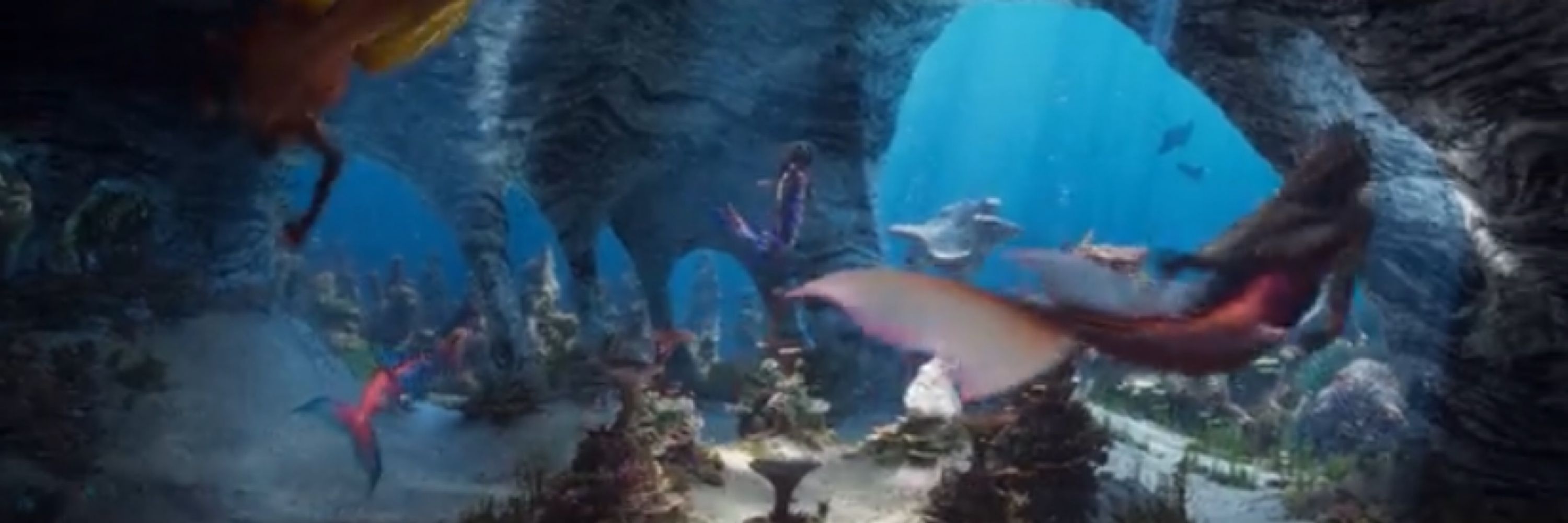 n🧜🏽‍♀️🇵🇸