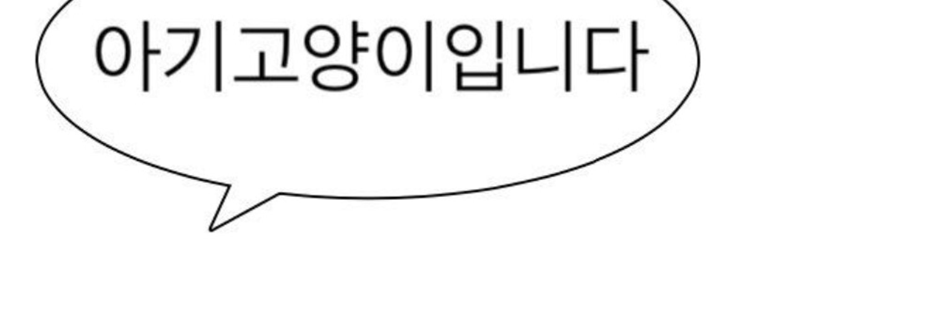 야식이
