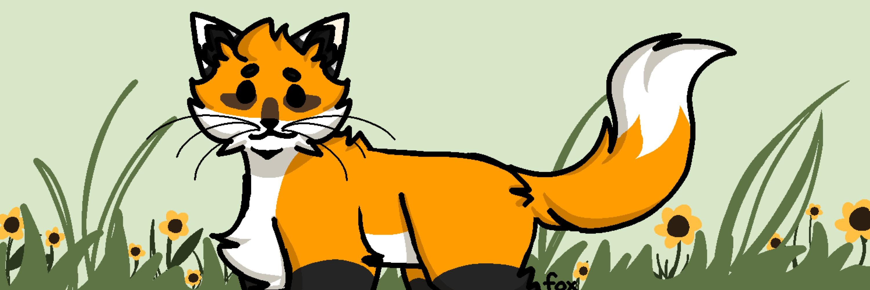 Fox&flip 