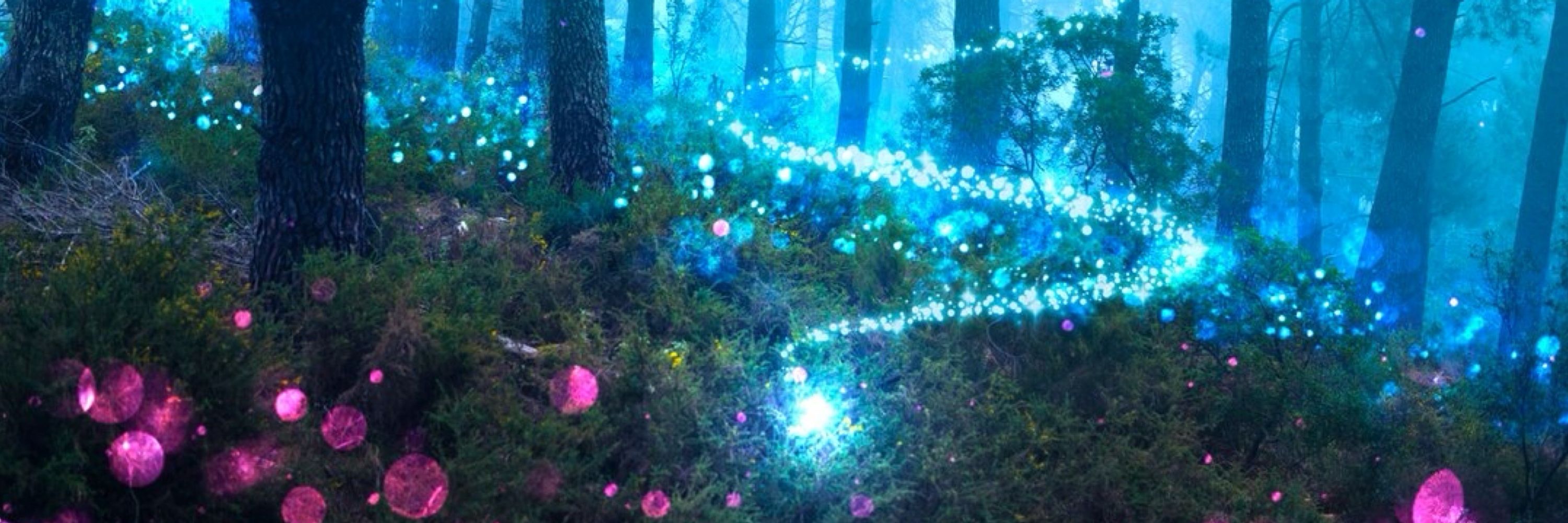 Orchid Oasis Art