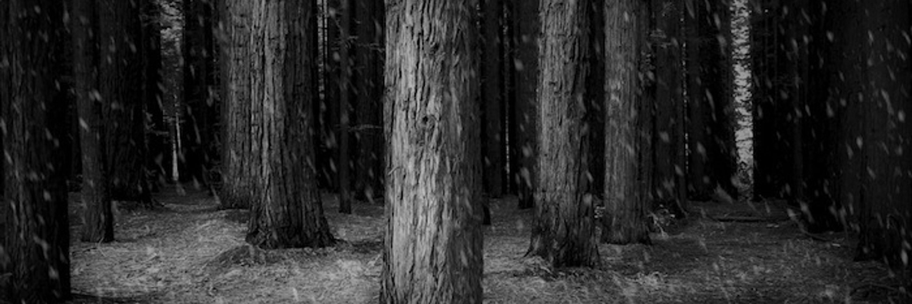 Forest Goth