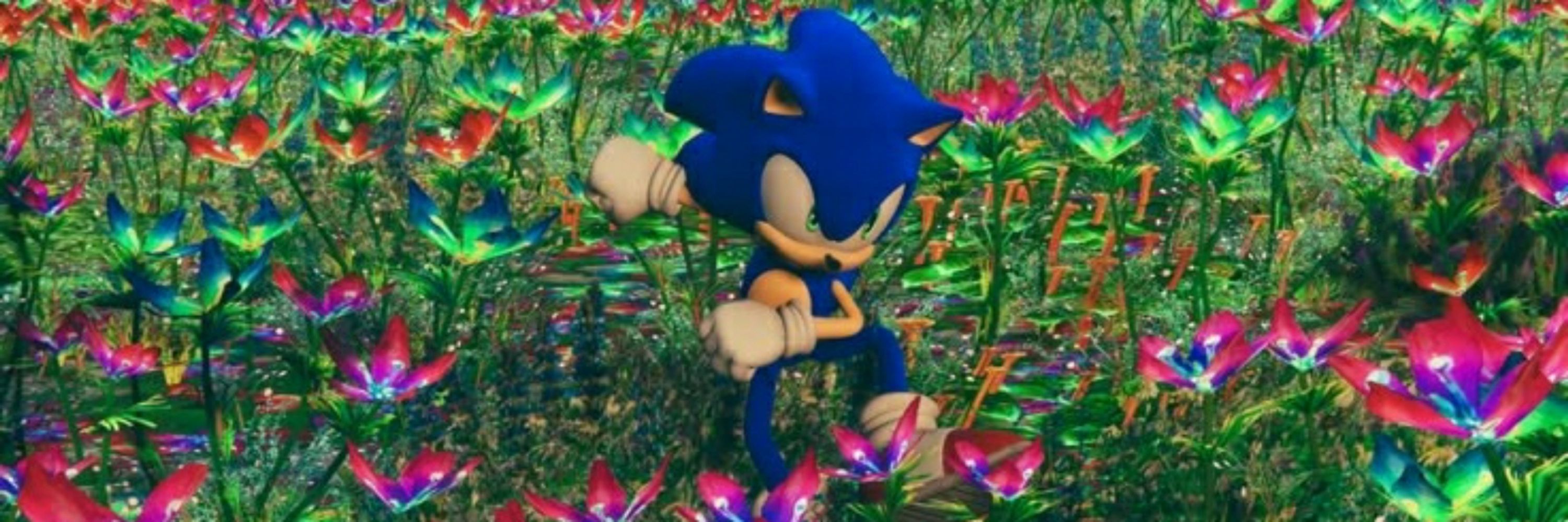 Paopugisesonic