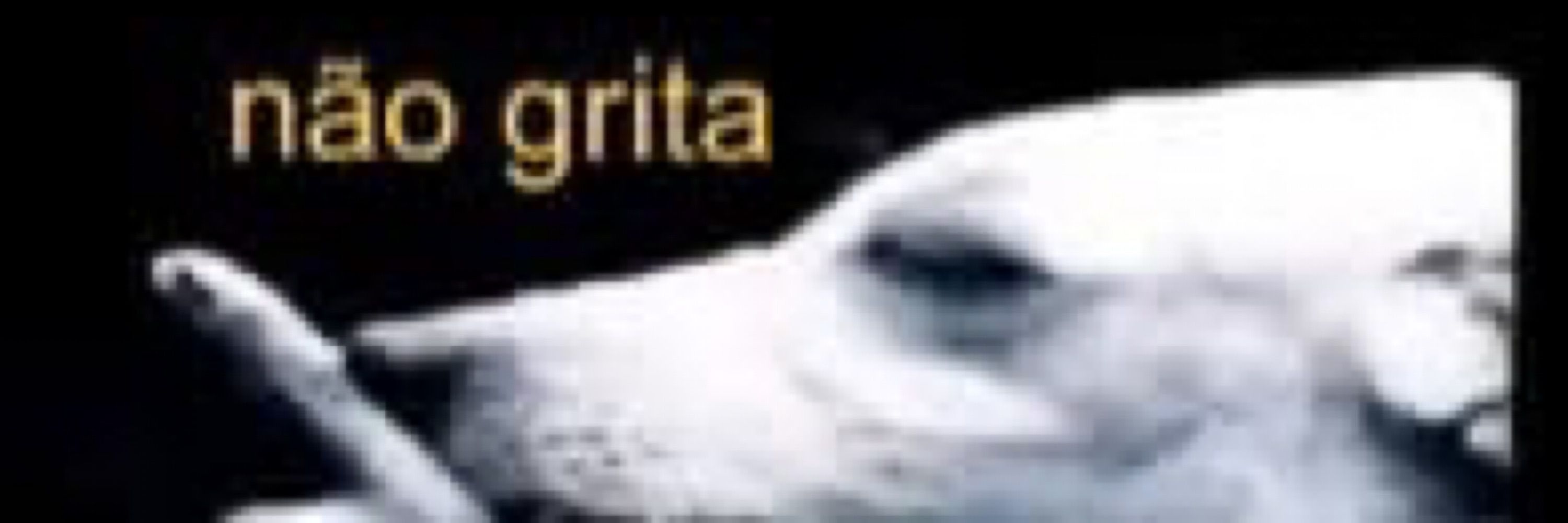 bng piranhao