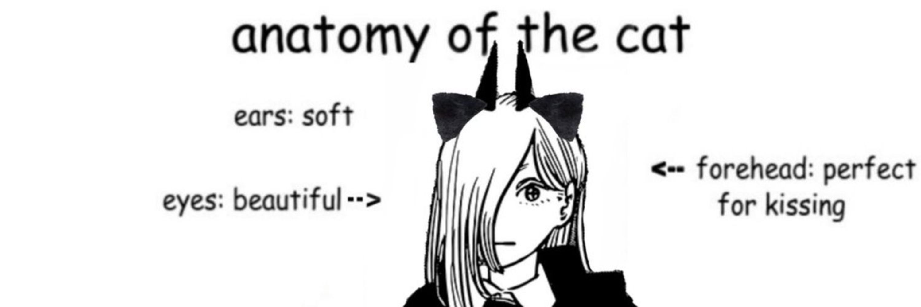 ryuuzakyy 