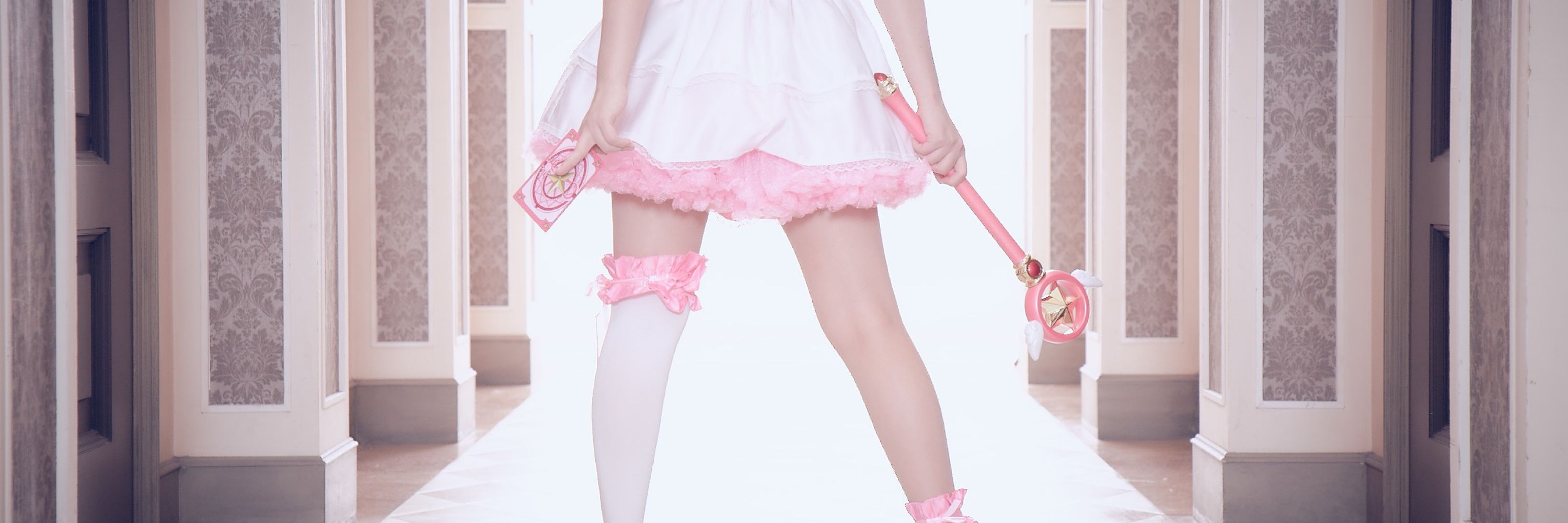 烏賊