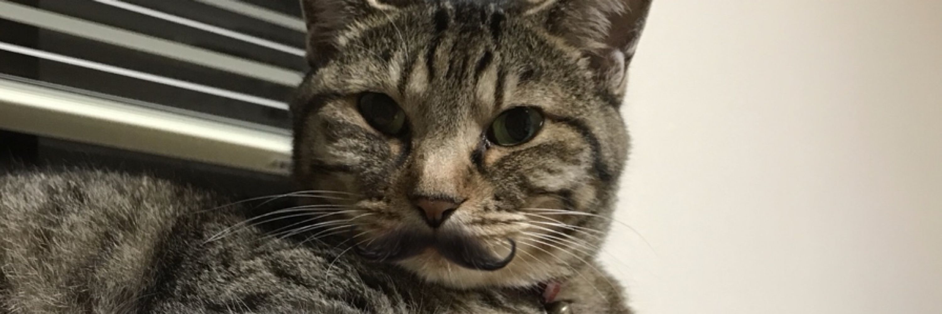 身内向け