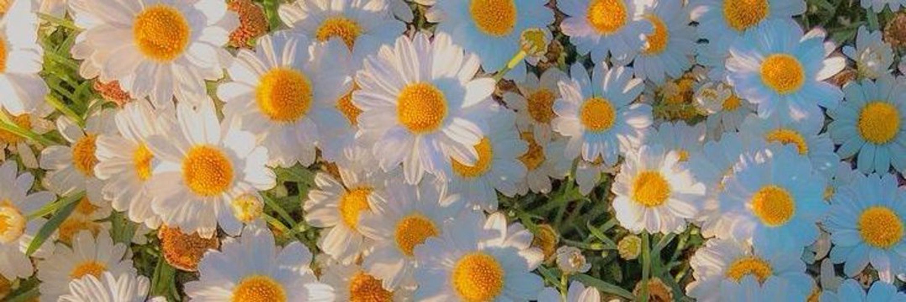 Daisy Bell