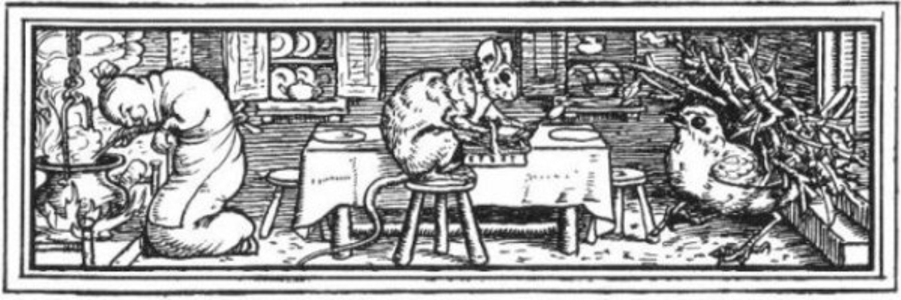 little grey mouse