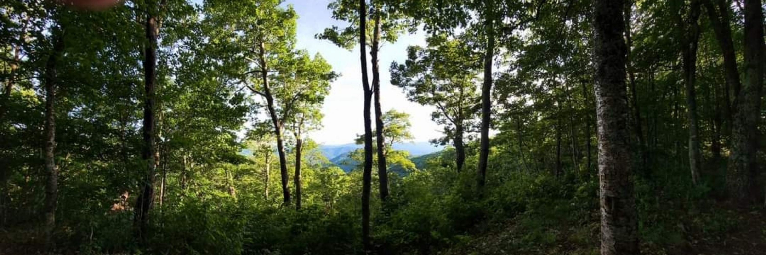 Qualla