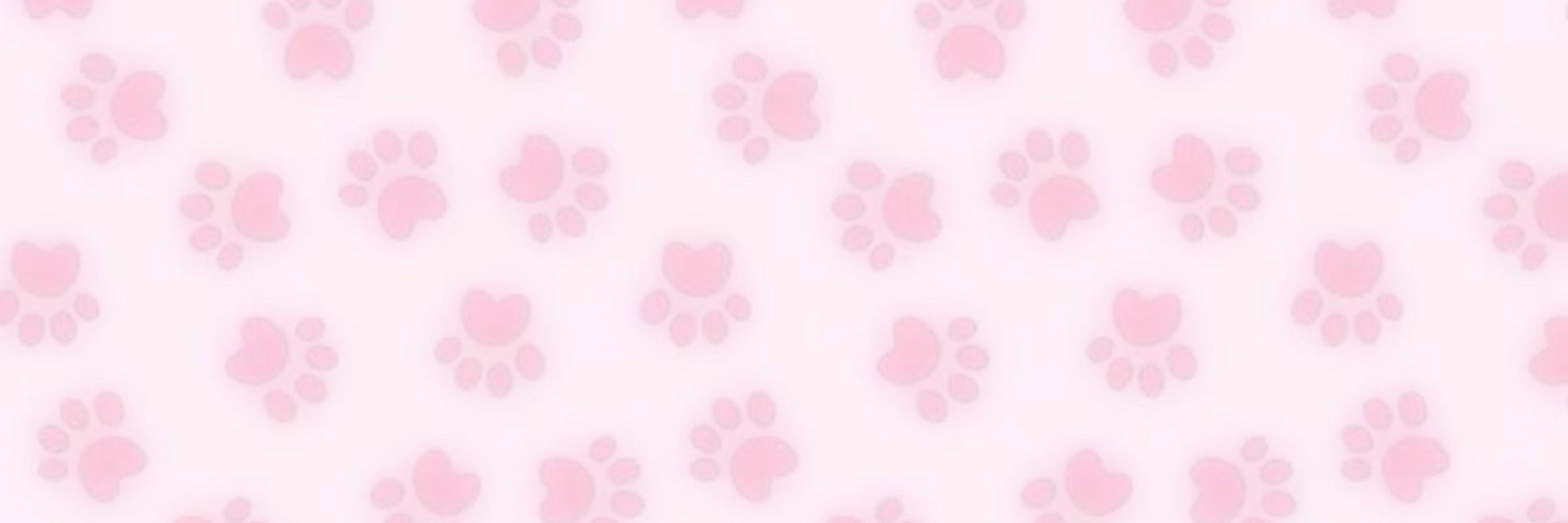 bunny🎀🐾