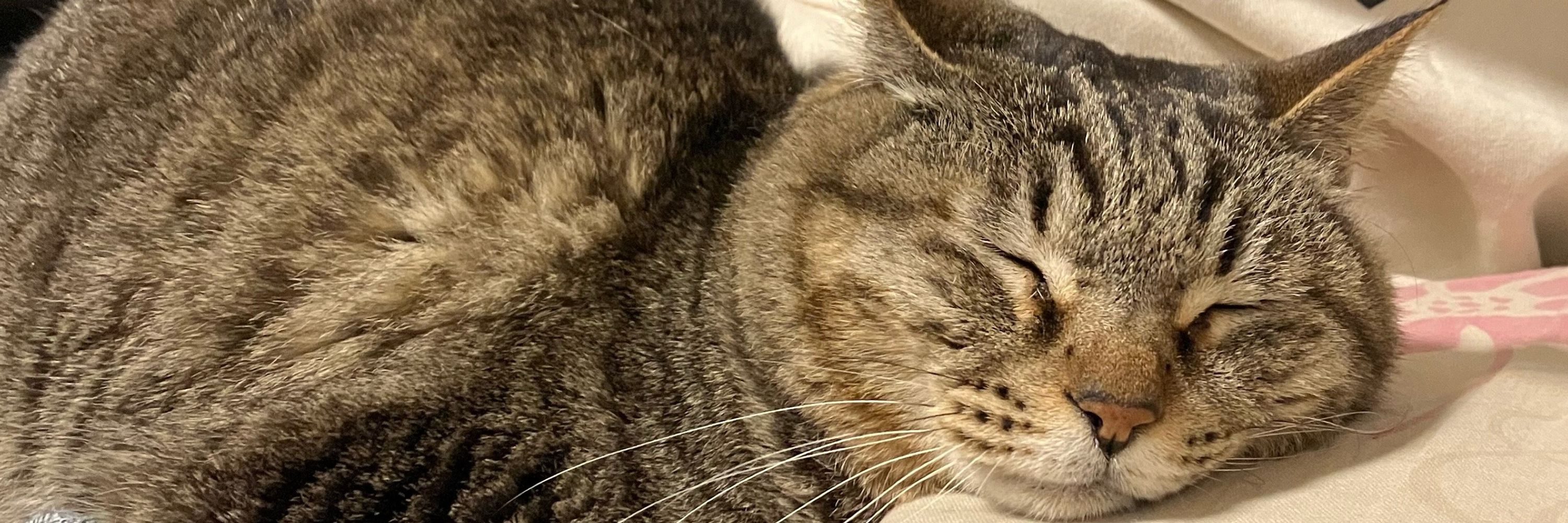 おぢ