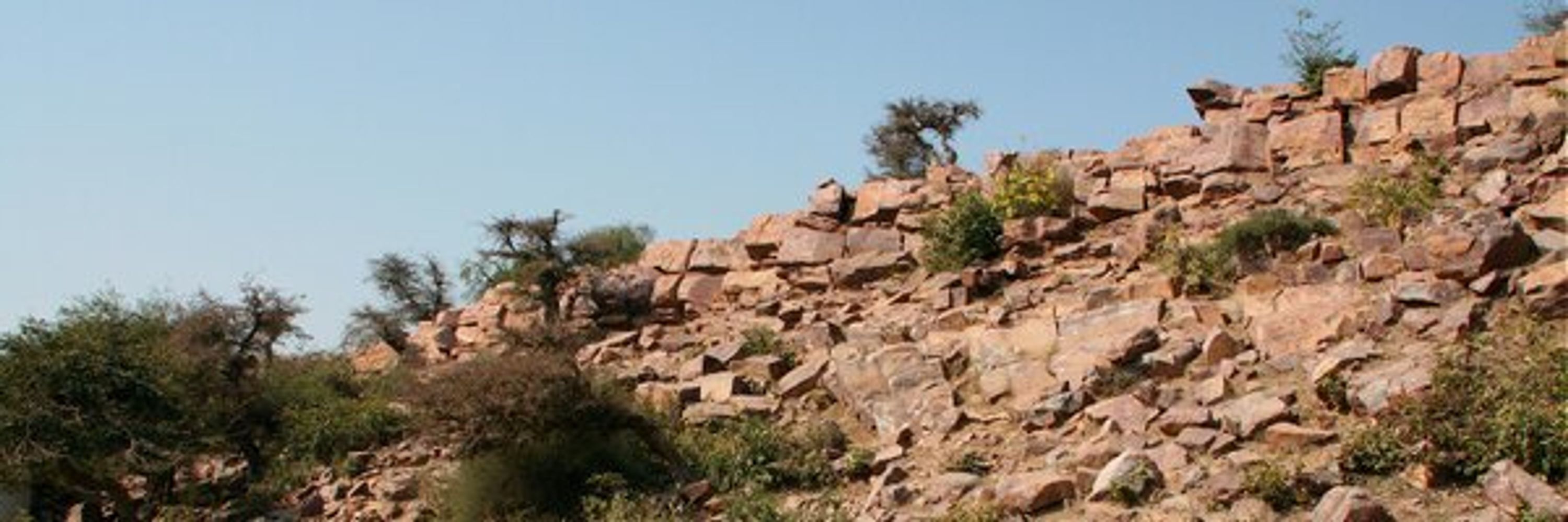 Dhanurdhara Swami