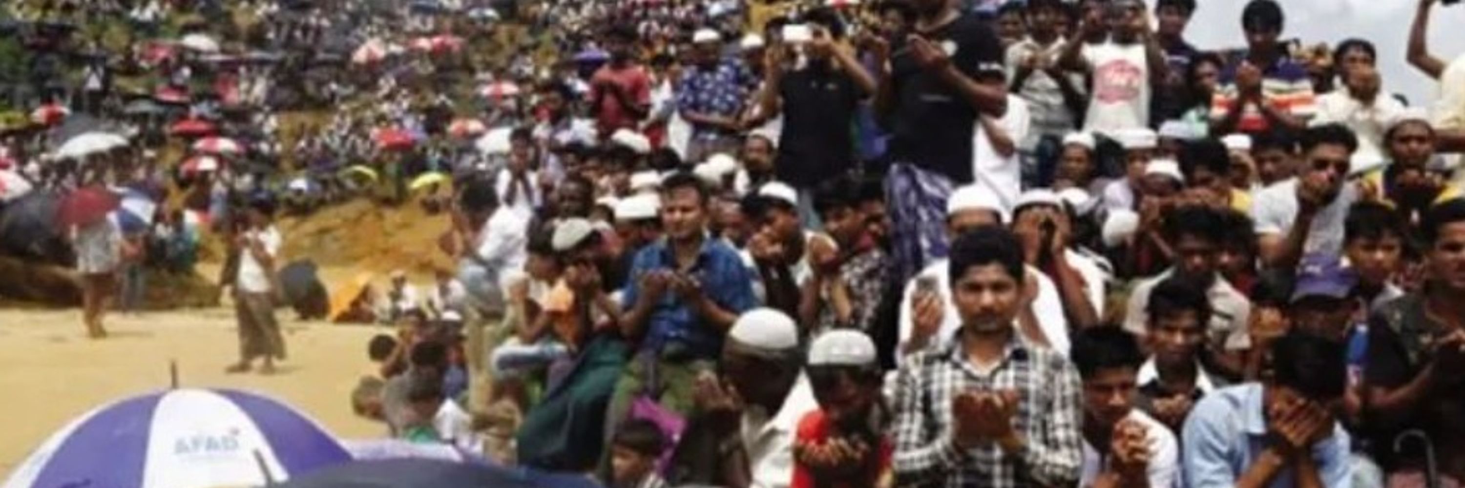 Rohingya Community Partners - RCP 