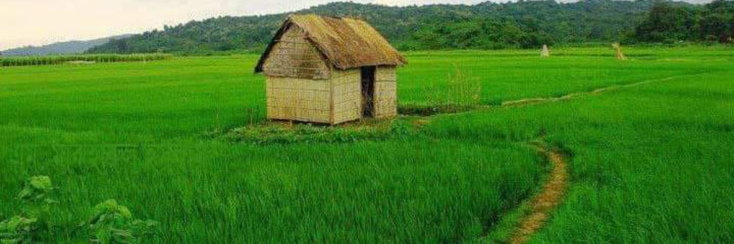 Moonzeer Ahcklham - মুনযির আকলাম