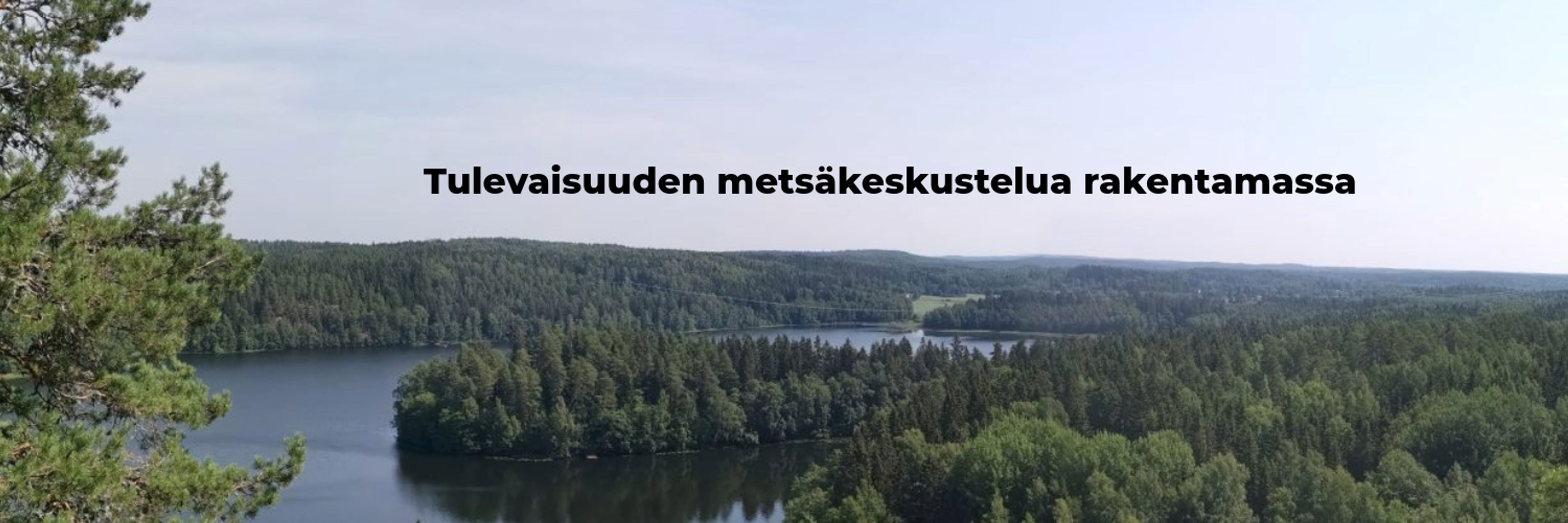 SeedLING - Metsäsanoista metsätekoihin