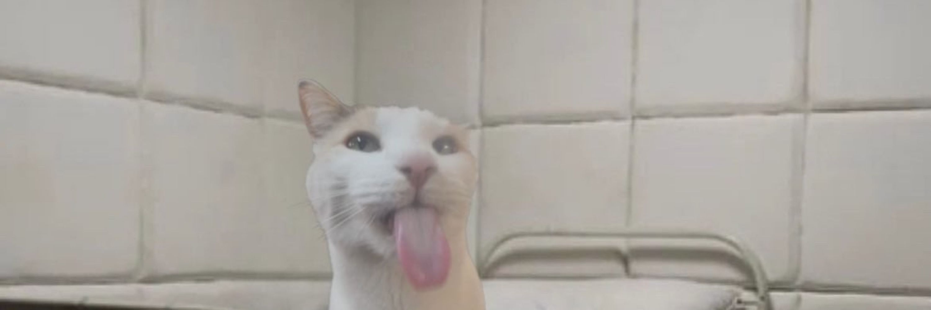 gian