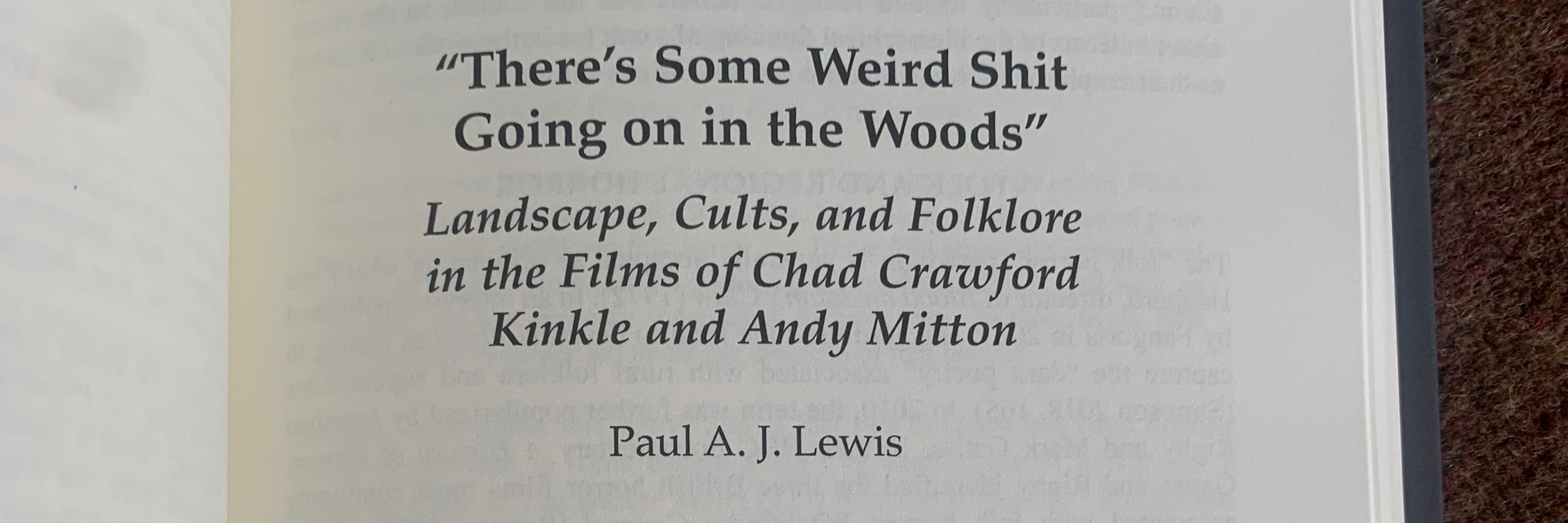Paul A J Lewis