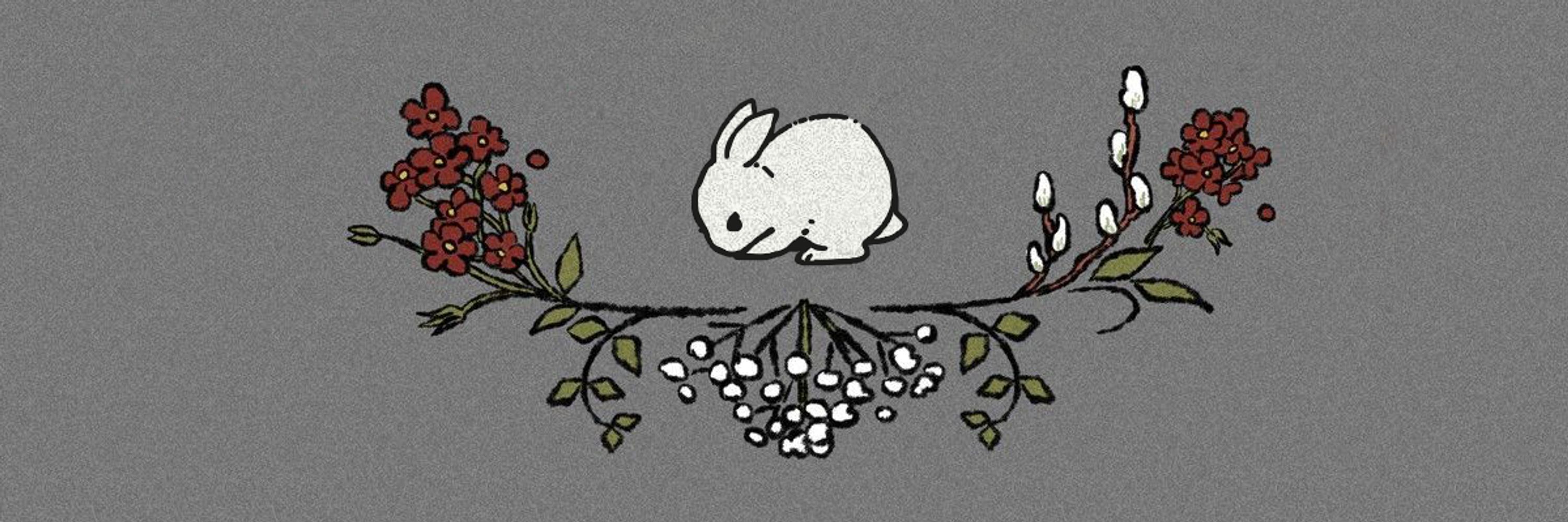 Boreal⭐Bunny