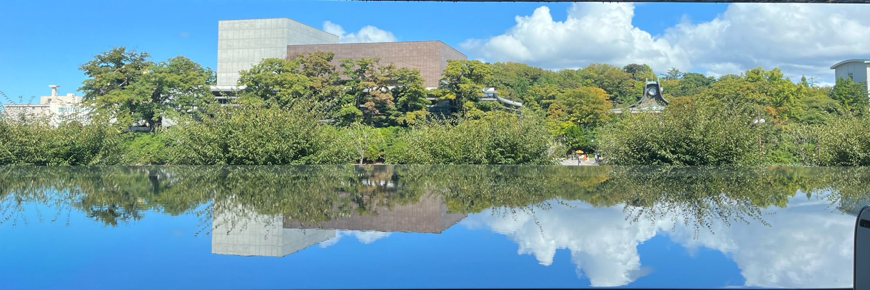 はやしこ