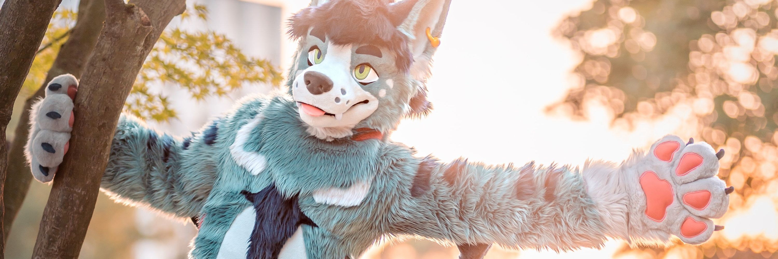 Fizzark 🔜 FWA