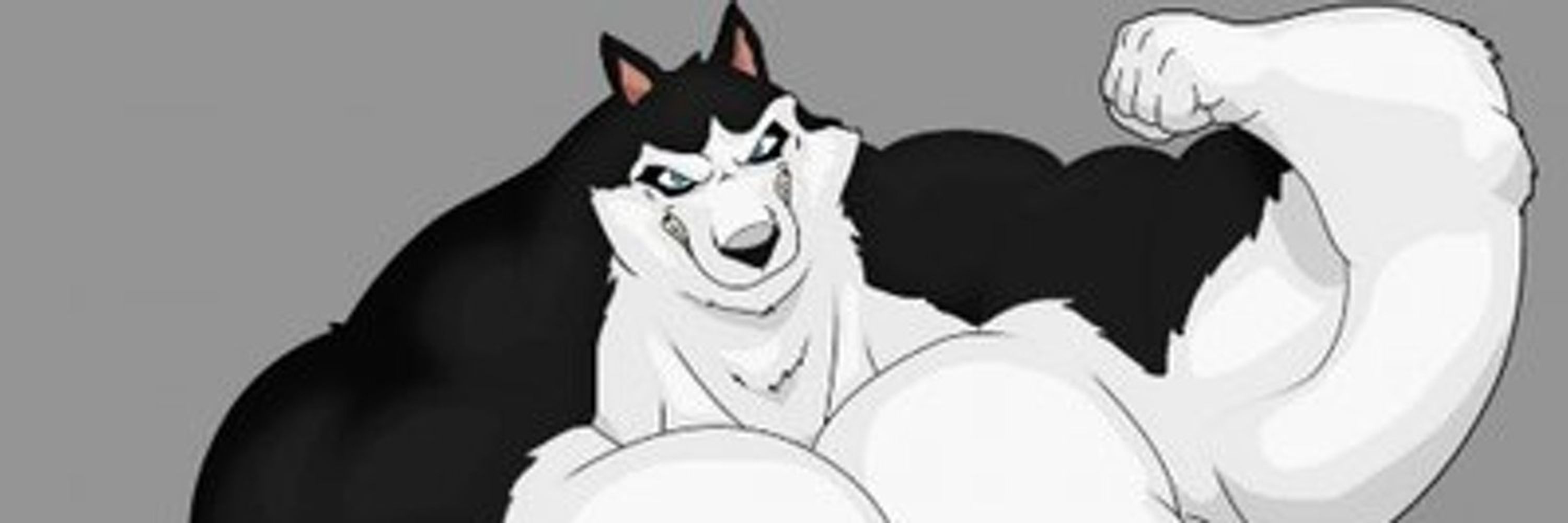 Steele Husky