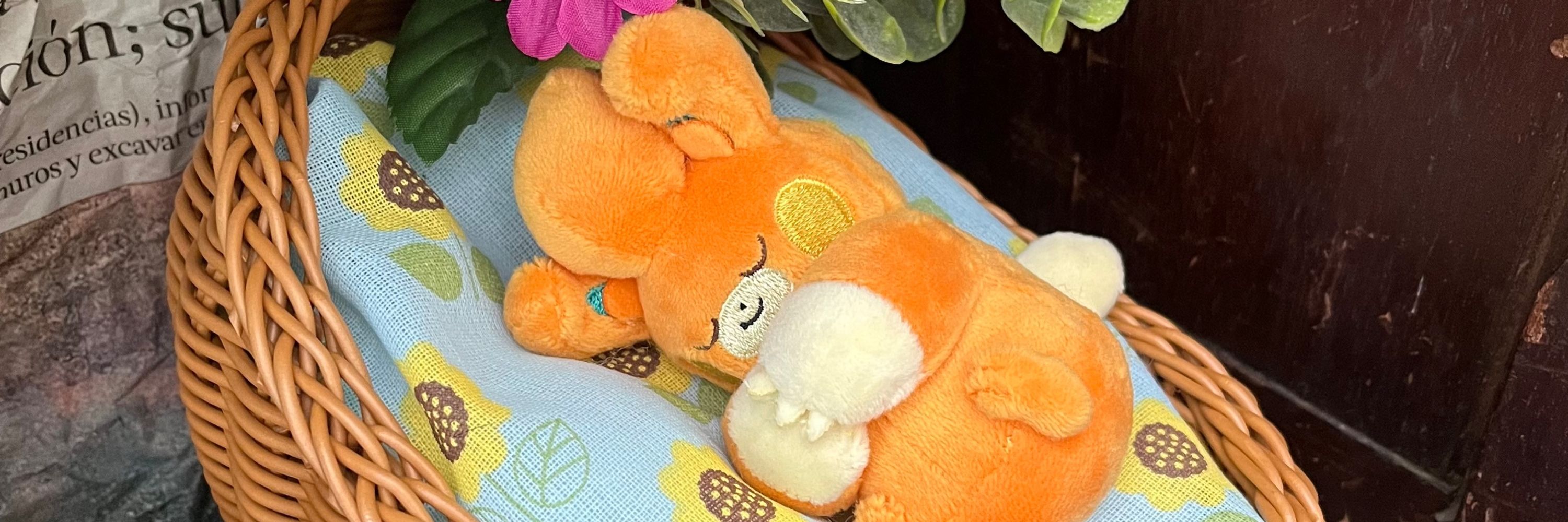 パモサンにっき🌼
