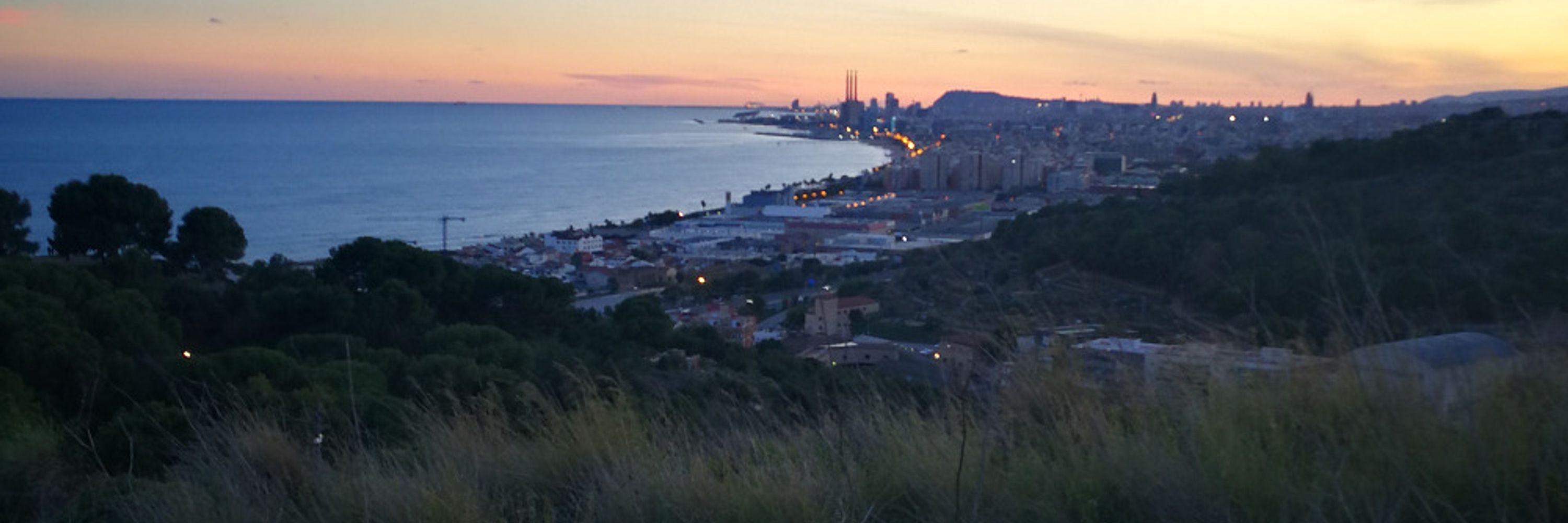 Laia Canals 