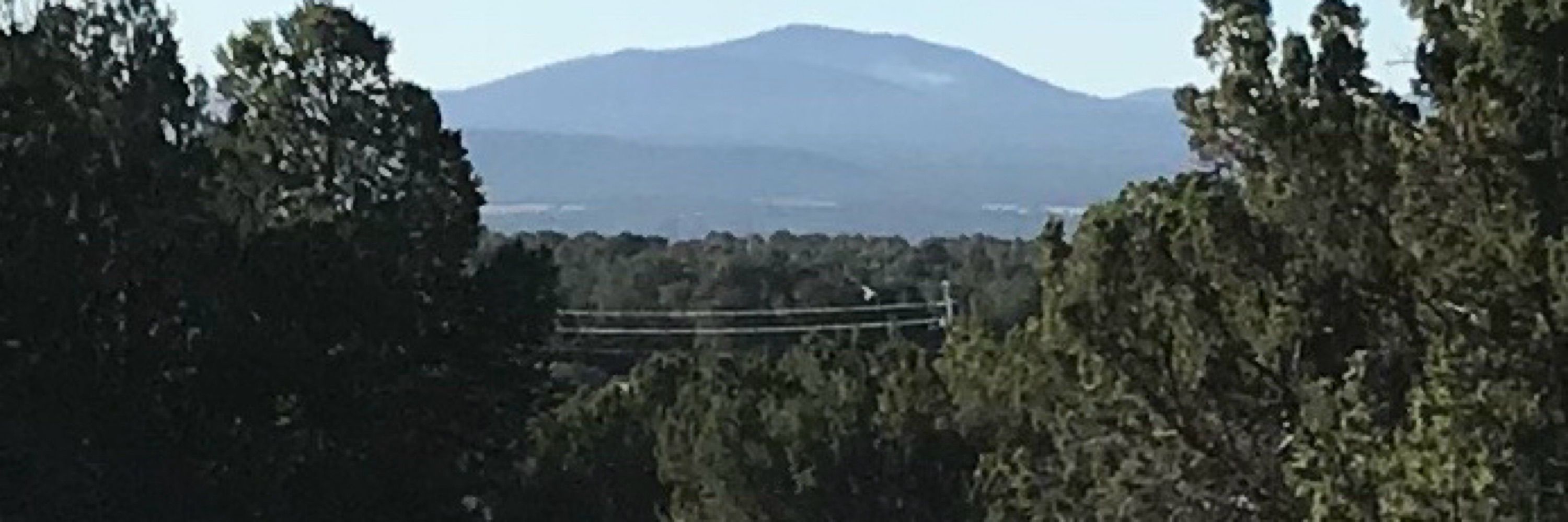 Pinyon Peace
