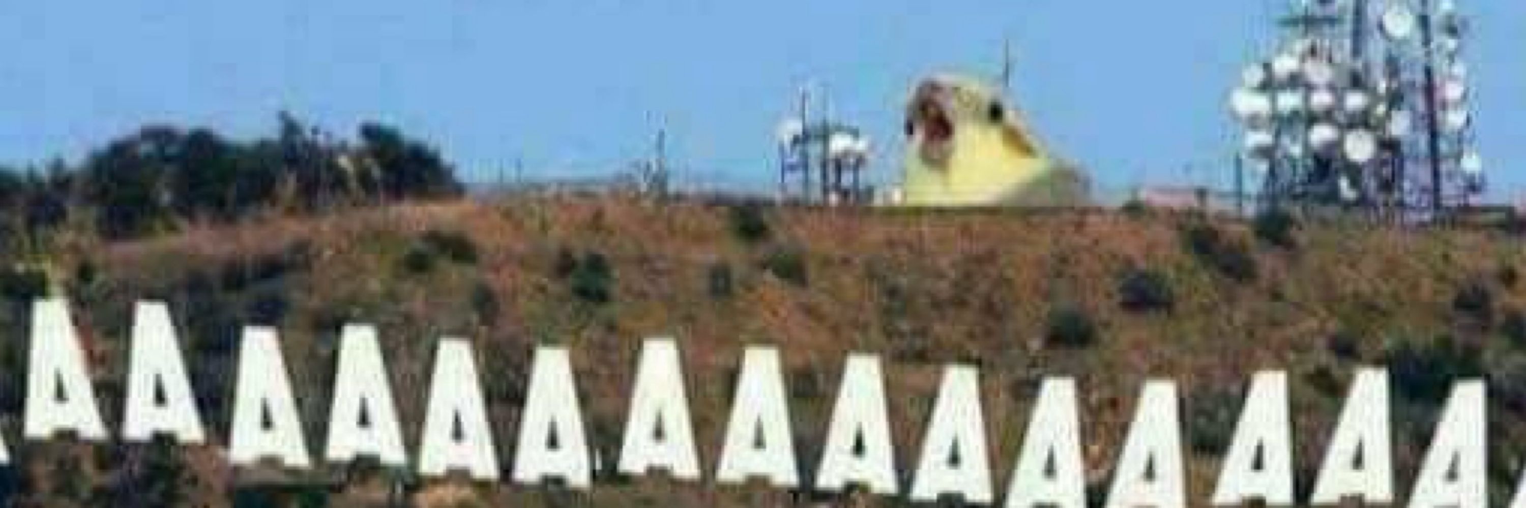 Lelê