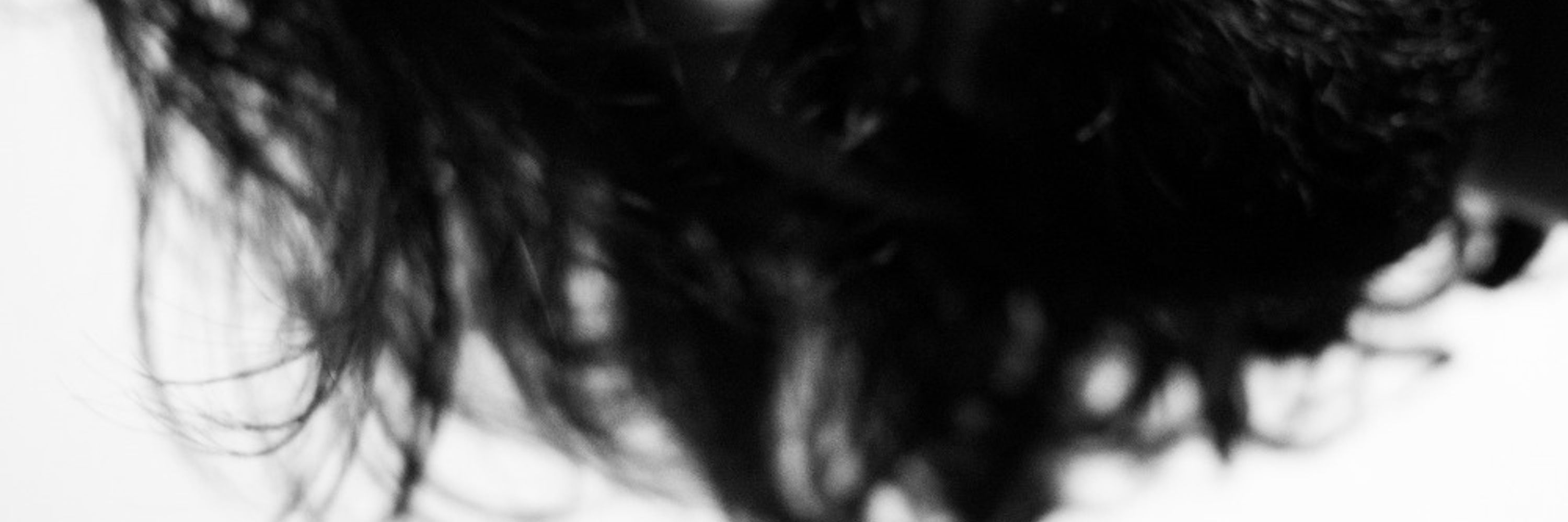 Bryan Camillo - Photographer, et al.