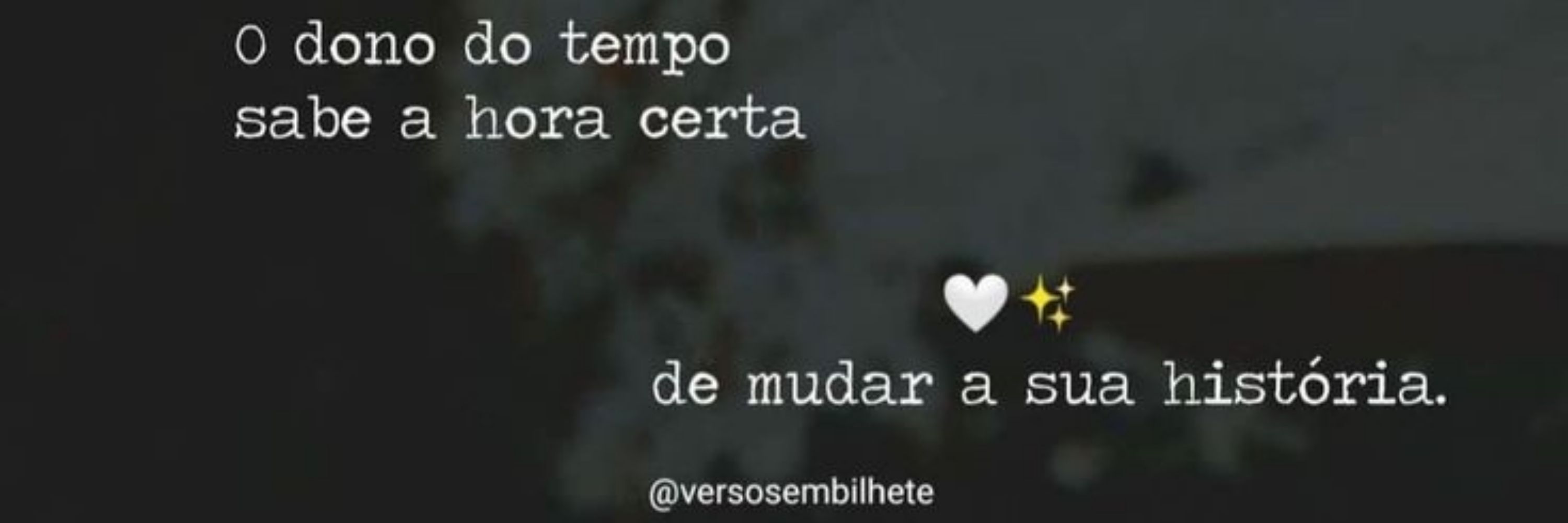Aline lima 🌺