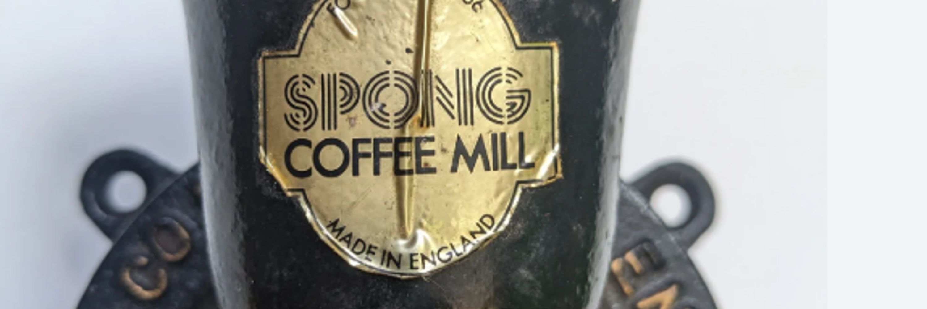 Dr Sally Spong