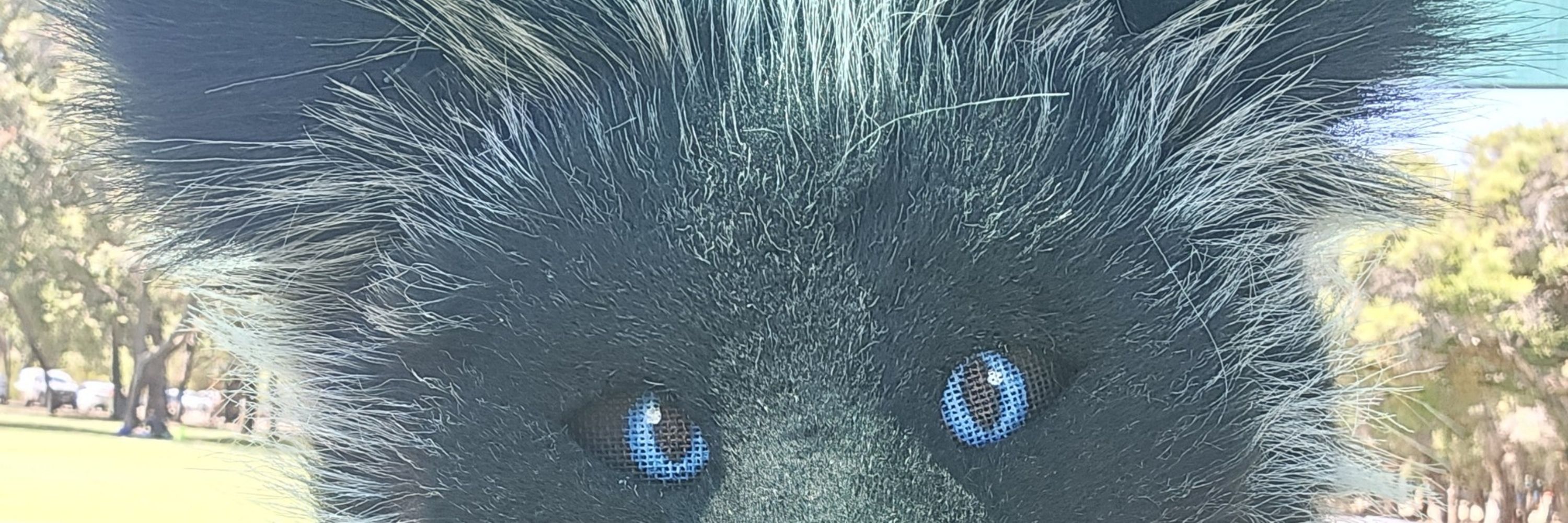 Vætki ╶⃝⃤