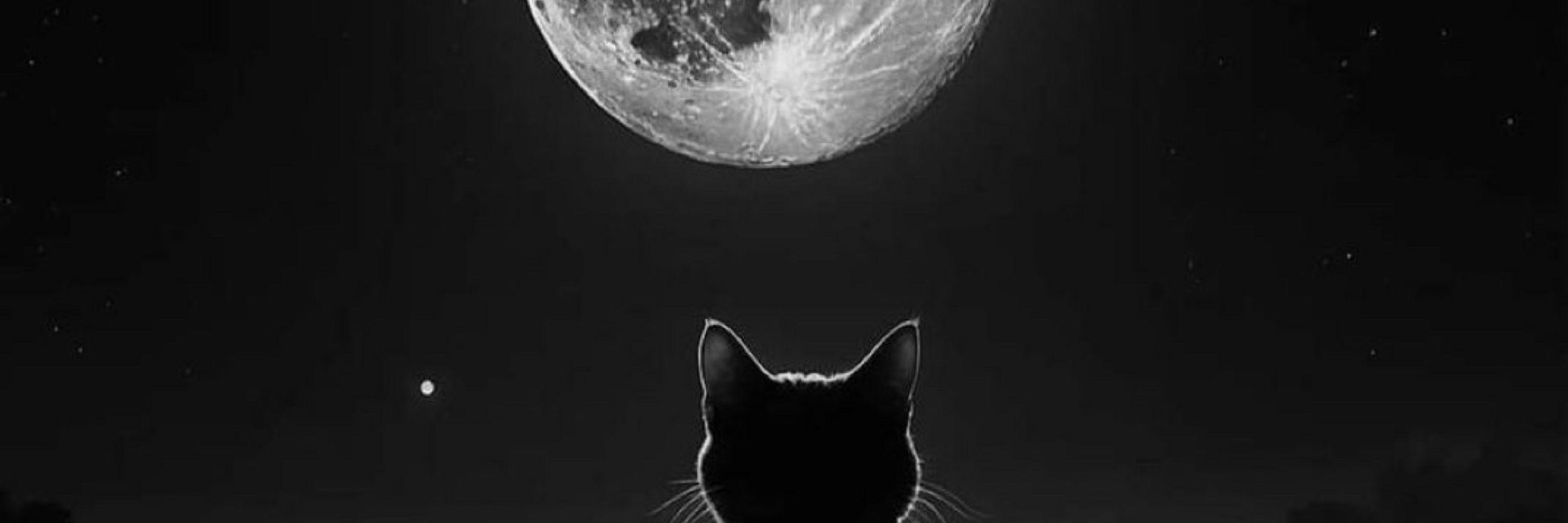 Cherie