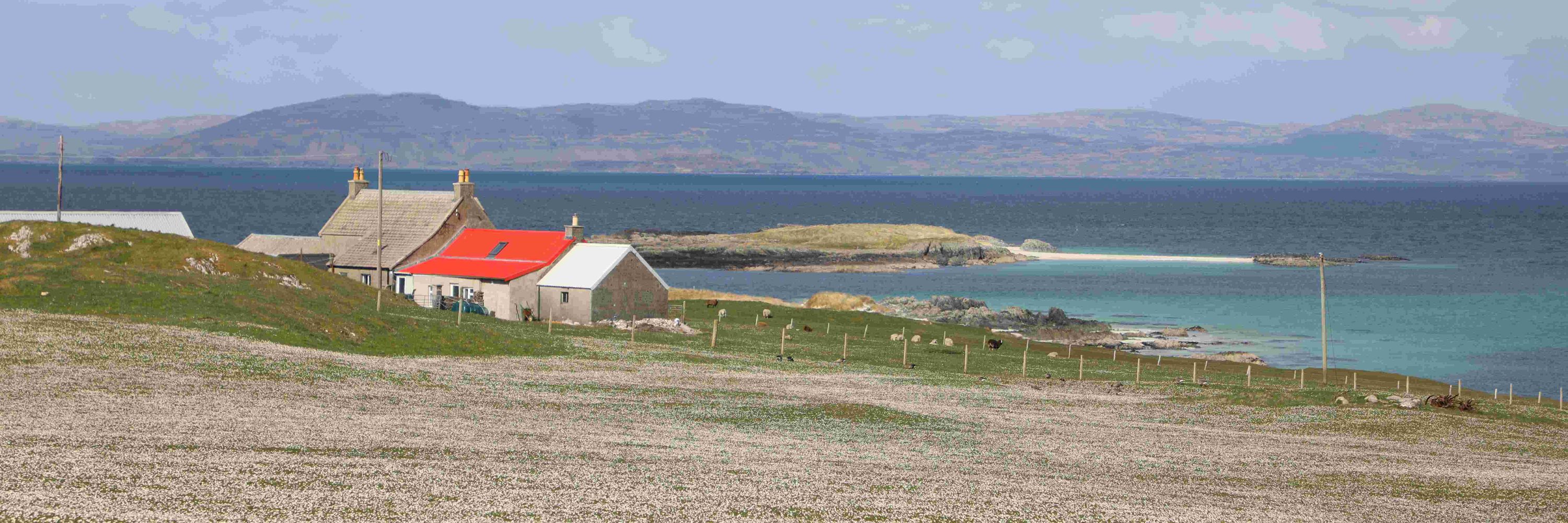 Trefor Moss