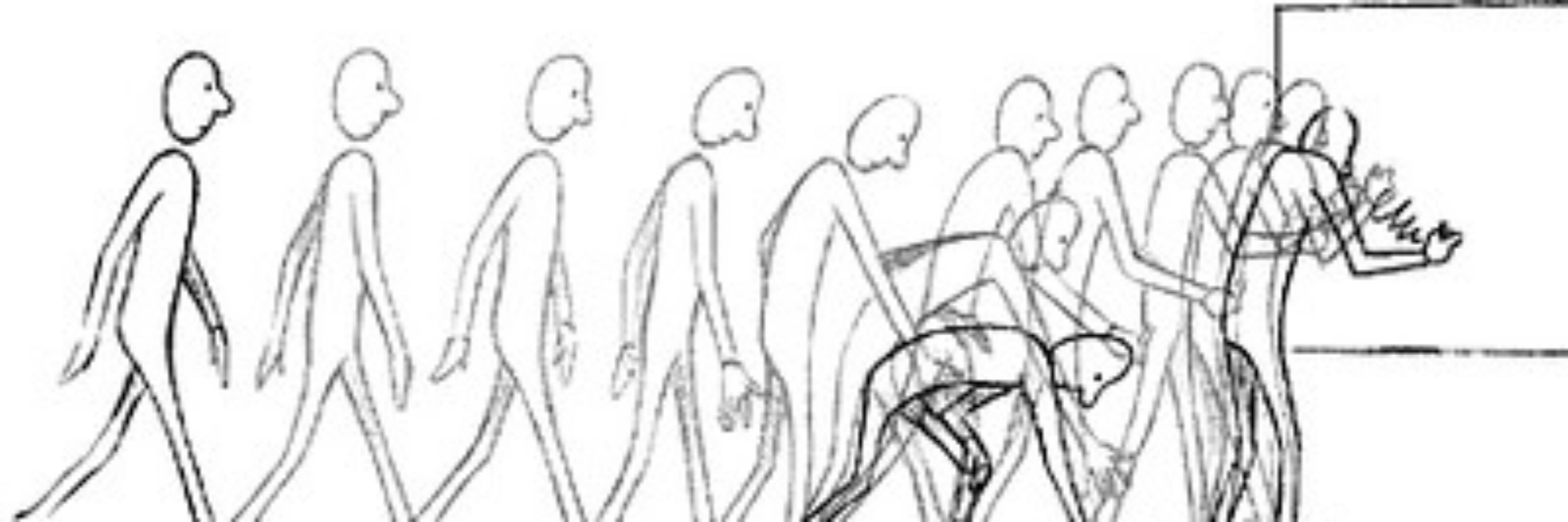 Animators Wanted