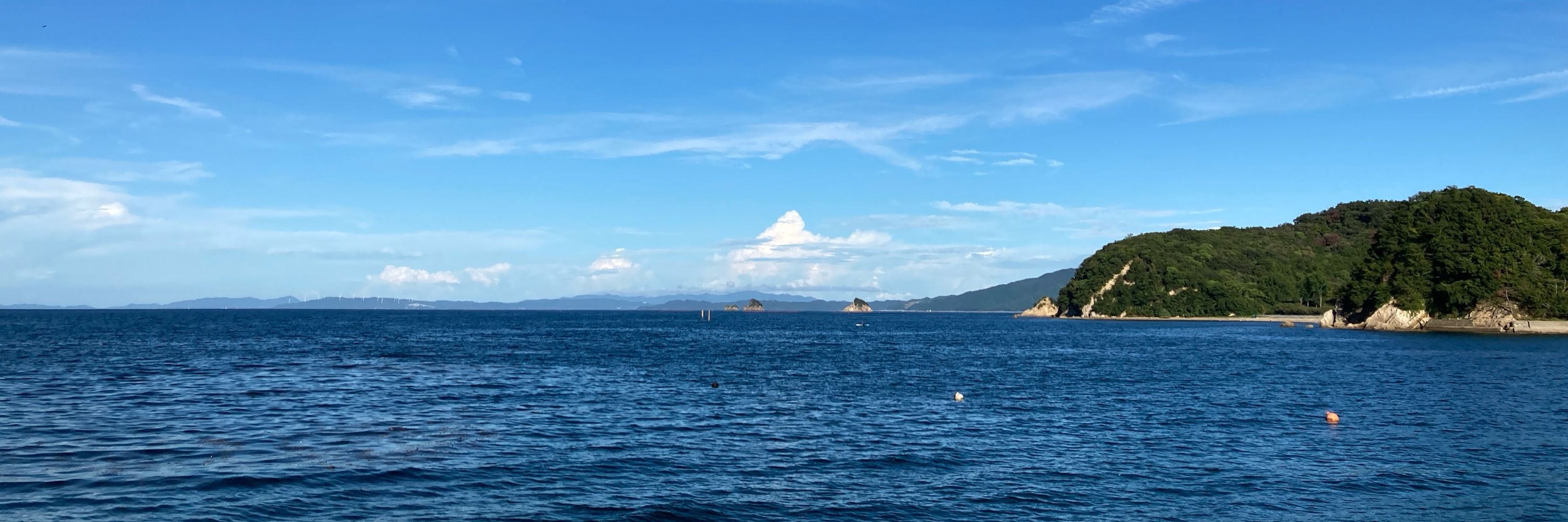 Papatanaka