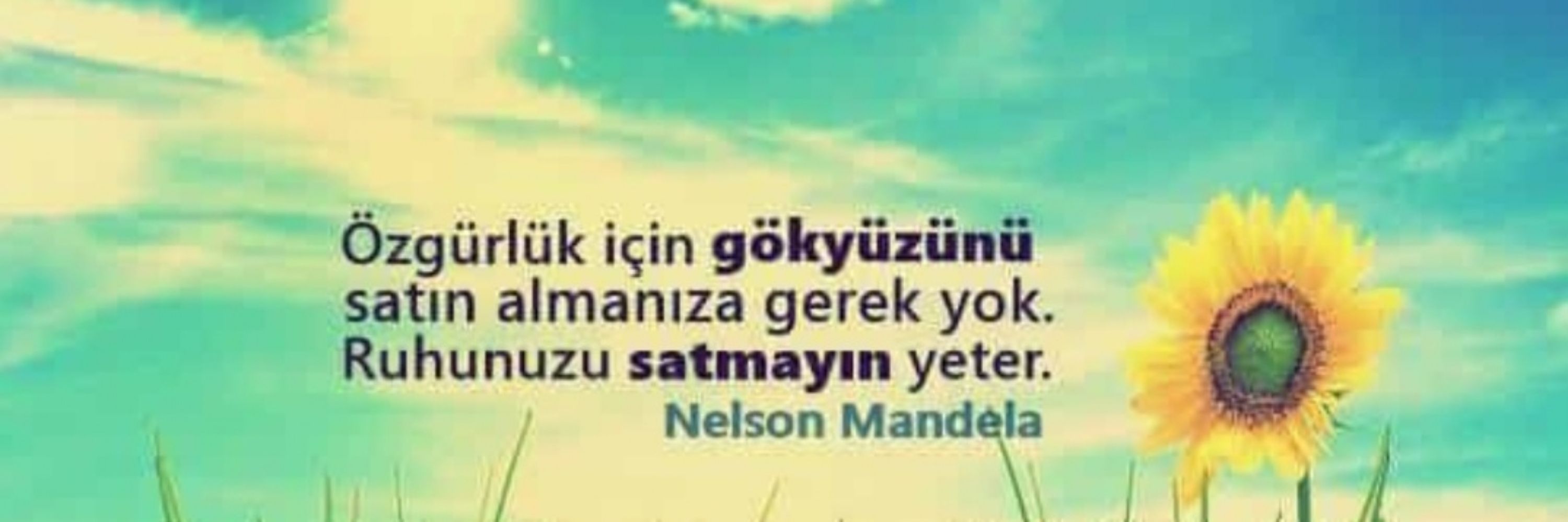 Burcu Bayram Dursun