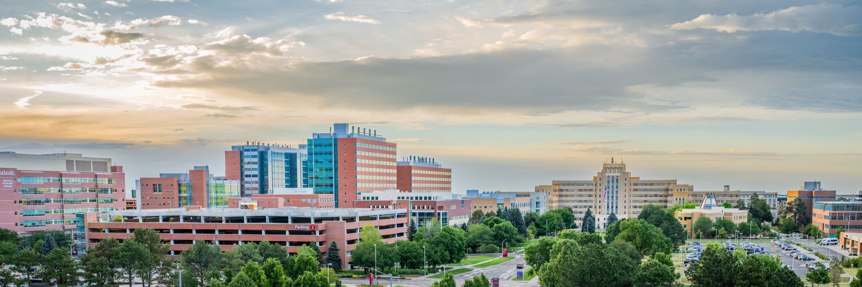 CU School of Medicine