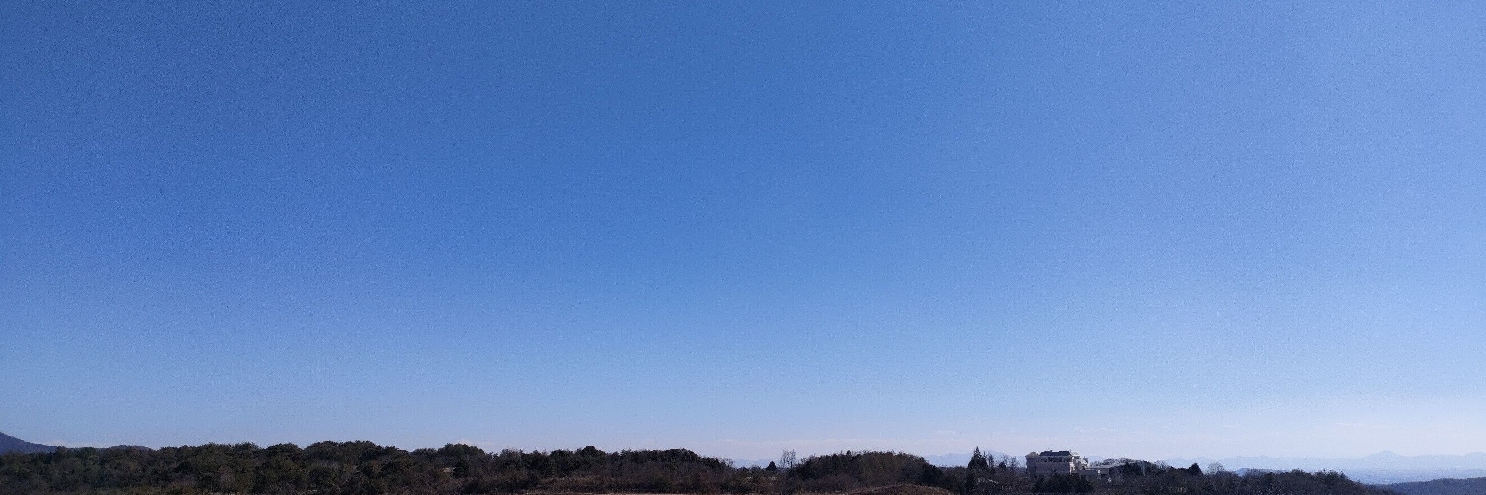キサビ