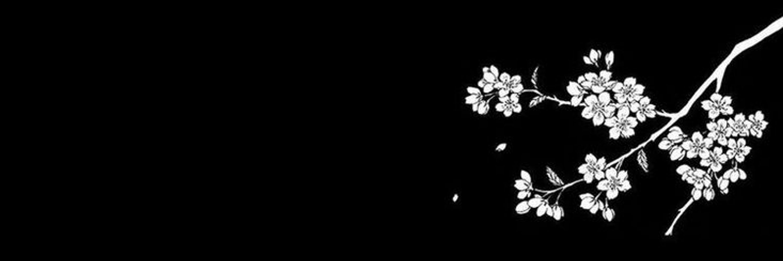 🩷euthanasia🖤